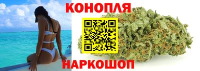 крисы Кунгур