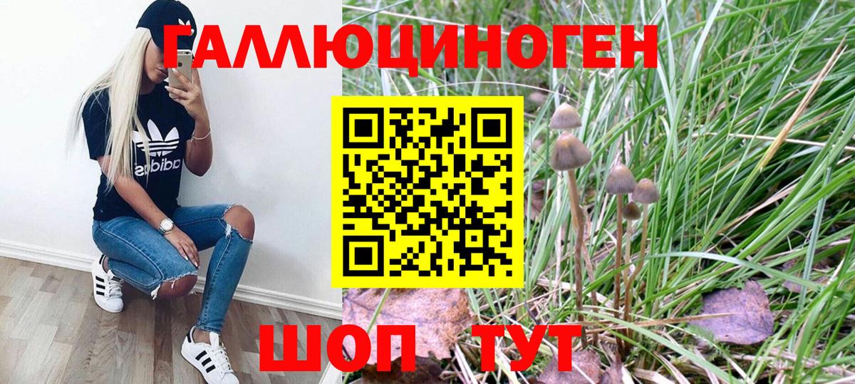 Галлюциногенные грибы MAGIC MUSHROOMS  Вход с VPN  Выкса 